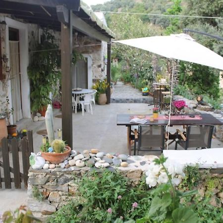 Olga'S Traditional Stone House, Palaiochora Kondokinigi Esterno foto