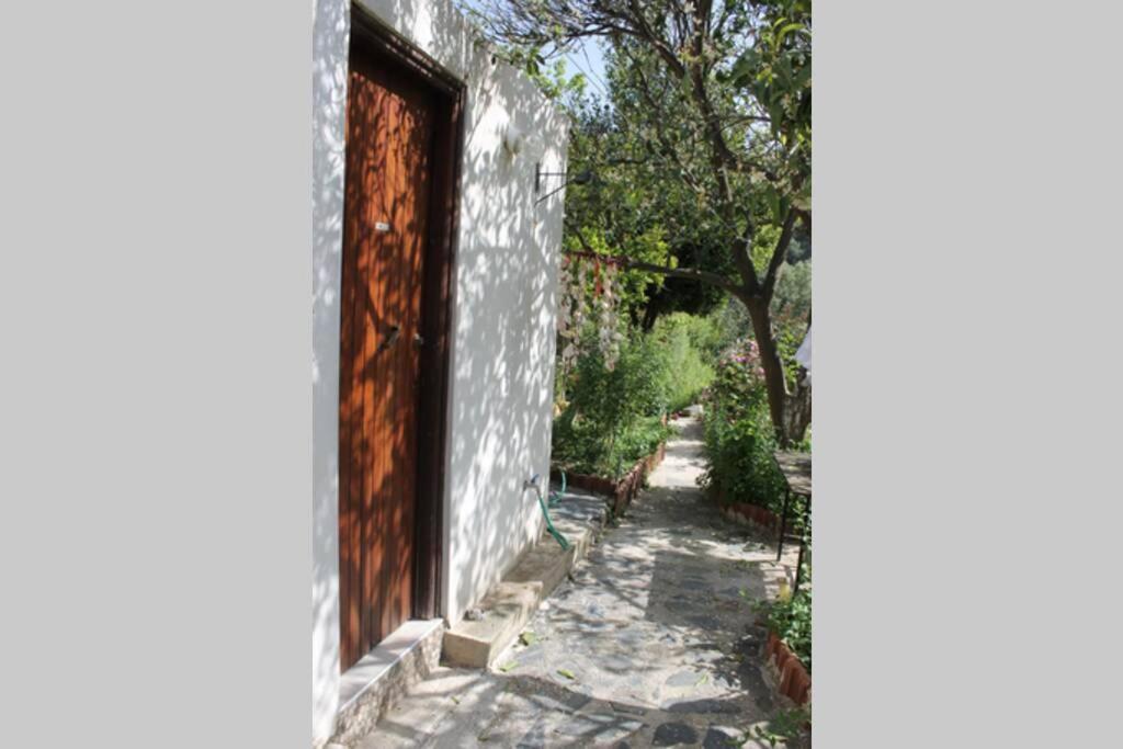Olga'S Traditional Stone House, Palaiochora Kondokinigi Esterno foto