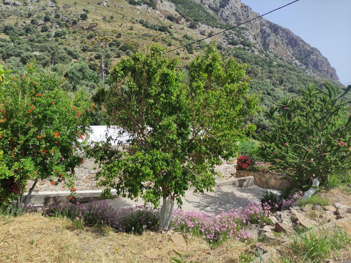 Olga'S Traditional Stone House, Palaiochora Kondokinigi Esterno foto